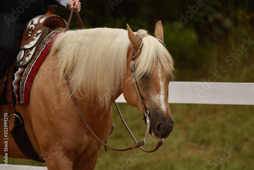 Summer western horse show