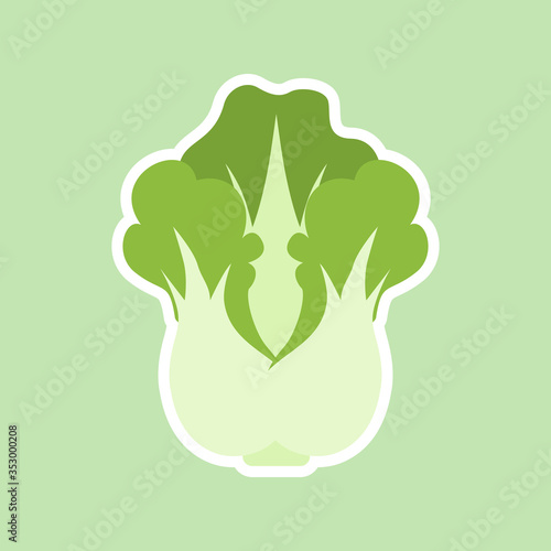 Flat illustration of chinese cabbage vector icon for web design. Head of napa cabbage. Vector flat color icon. Isolated on color. Natural food and healthy nutrition. Flat vector 