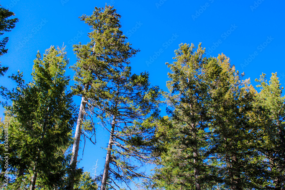 Obraz premium Mountain Sky