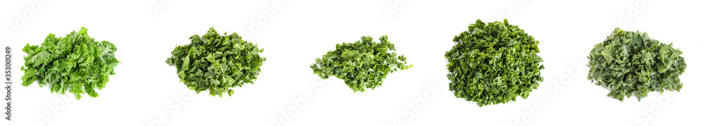Set of fresh green kale leaves on white background. Banner design Set of fresh green kale leaves on white background. Banner design