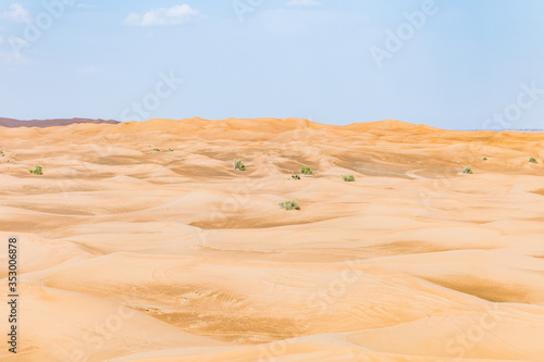Middle Eastern Desert