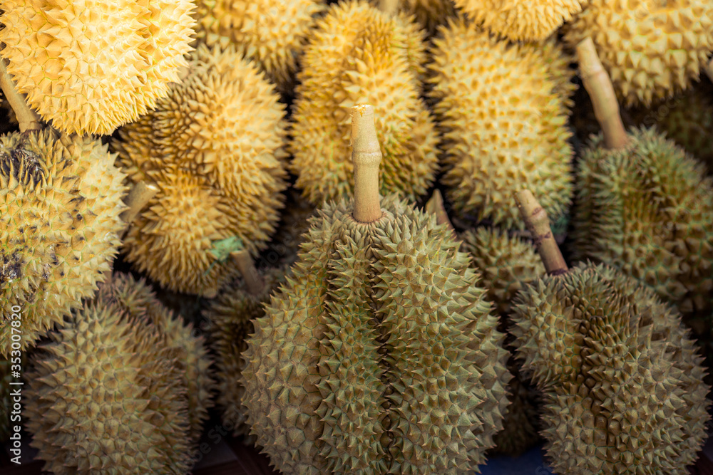 A close-up view of the seasonal fruit that one of the most popular (Durian) that is cut from the tree and placed for sale, has a sweet and delicious flavor. A close-up view of the seasonal fruit that one of the most popular (Durian) that is cut from the tree and placed for sale, has a sweet and delicious flavor.