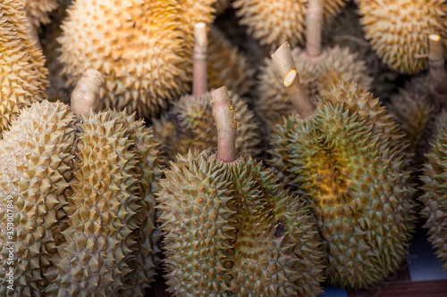A close-up view of the seasonal fruit that one of the most popular (Durian) that is cut from the tree and placed for sale, has a sweet and delicious flavor.