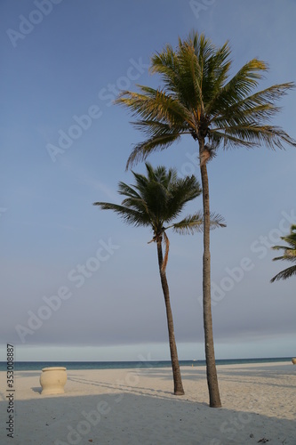 empty Miami beach with palm trees and white sand Ocean view. Space for text. Vertical photo.