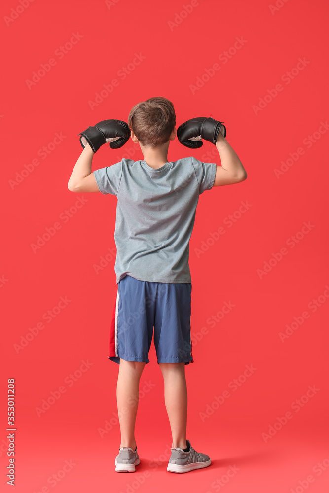 Cute little boxer on color background Cute little boxer on color background