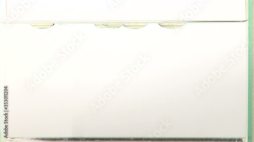 Shot of suspended spheres of air in oil rest on surface of water