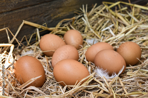 Many eggs in the nest are made from straw. Food obtained from chickens on farms. Healthy products from farmers. Products from rural areas.