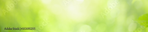 Abstract blurred out of focus and blurred green leaf background under sunlight with bokeh and copy space using as background natural plants landscape, ecology cover concept.
