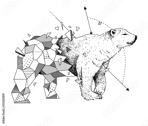 urso polar semi-geométrico