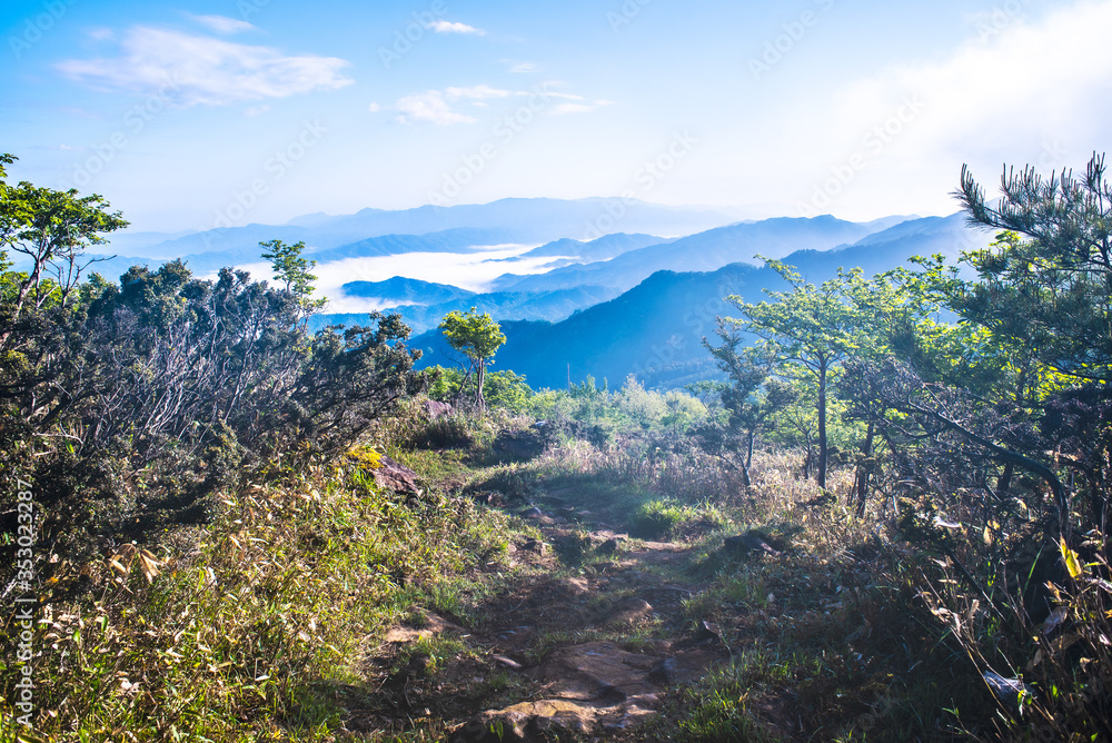 Obraz premium 京都・山尾根からの朝もやに雲海