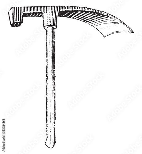 Doloire tool, vintage illustration.