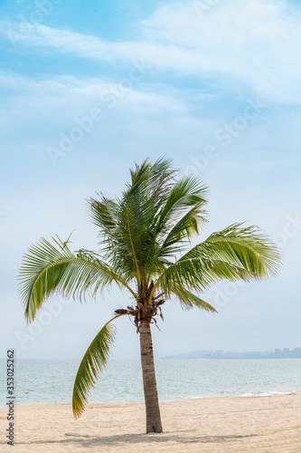 palm tree on the beach © yaoyang