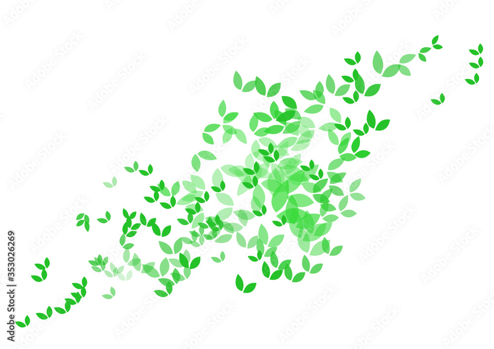 Verde Verde
