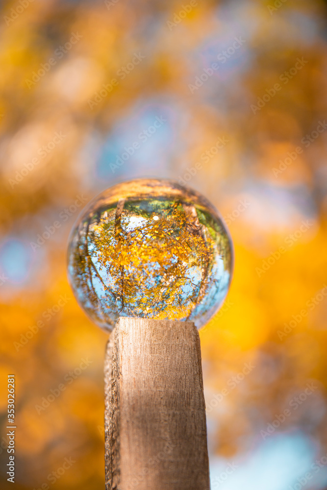 Colourful Autumn Outdoor Nature Landscape Scene with Lens Ball