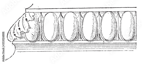 Gadrooning, vintage illustration.