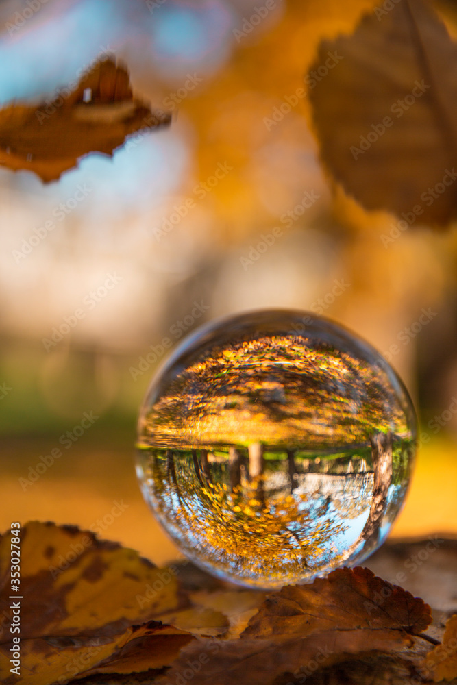 Colourful Autumn Outdoor Nature Landscape Scene with Lens Ball