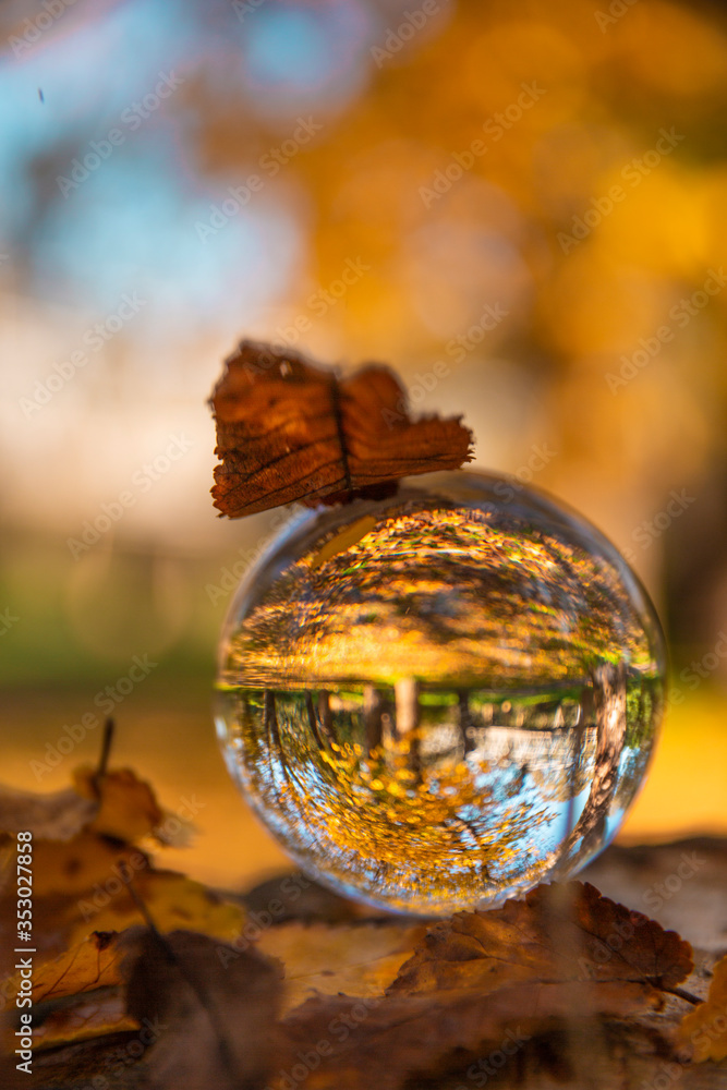 Colourful Autumn Outdoor Nature Landscape Scene with Lens Ball