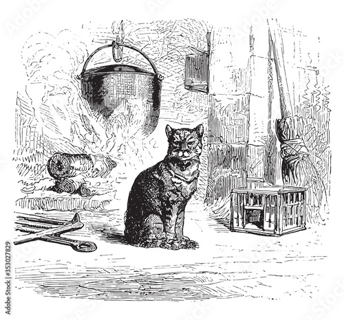 Cat, vintage illustration.