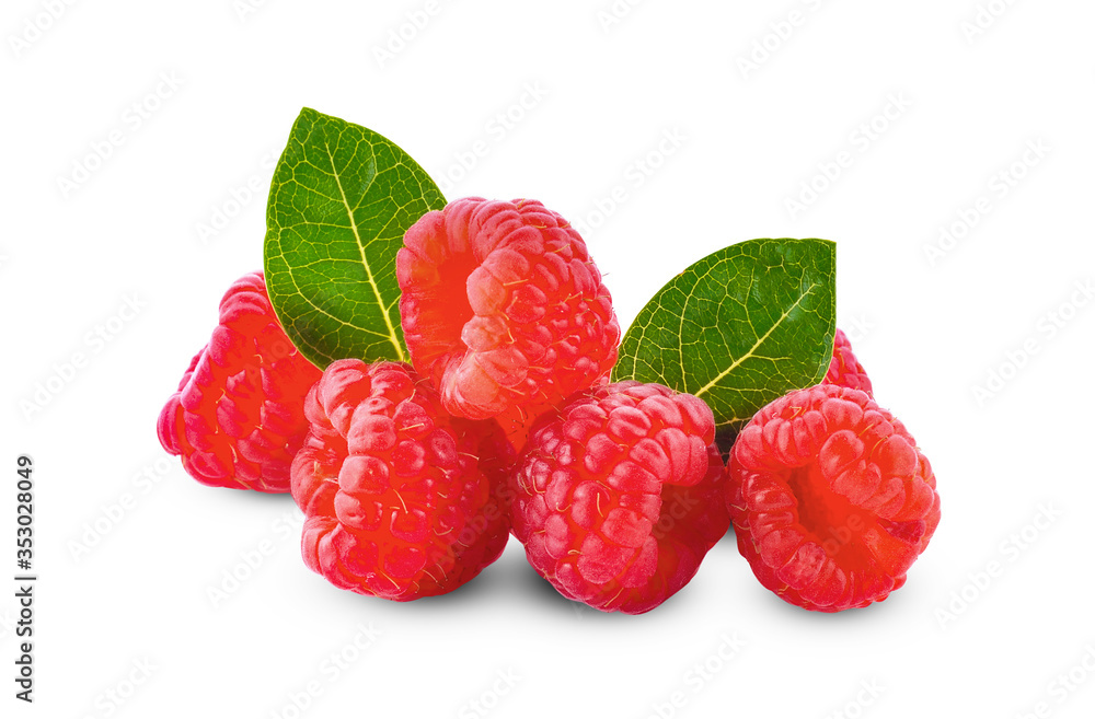 raspberry isolated on a white background raspberry isolated on a white background