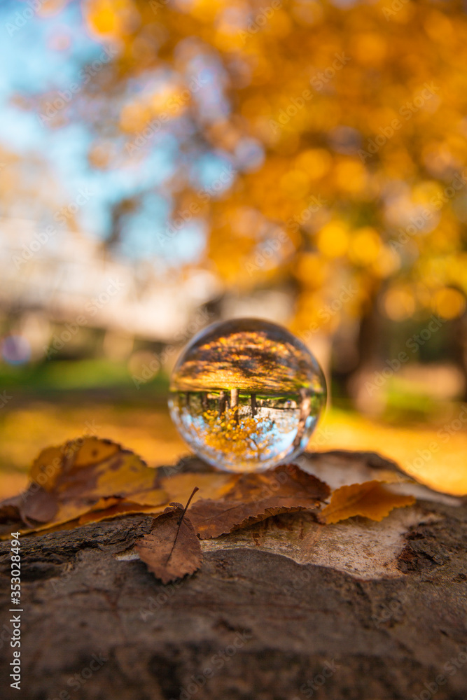 Colourful Autumn Outdoor Nature Landscape Scene with Lens Ball