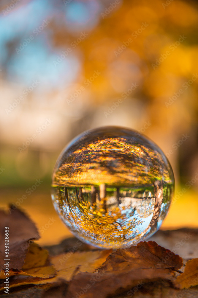 Colourful Autumn Outdoor Nature Landscape Scene with Lens Ball