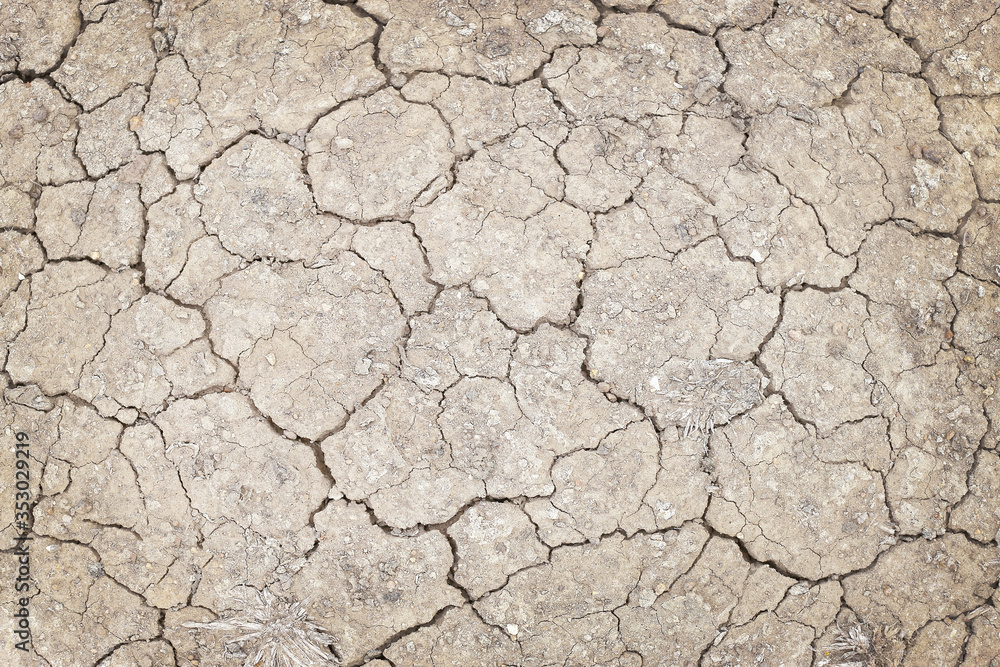 Dry soil surface with cracks under high solar activity and lack of moisture Dry soil surface with cracks under high solar activity and lack of moisture