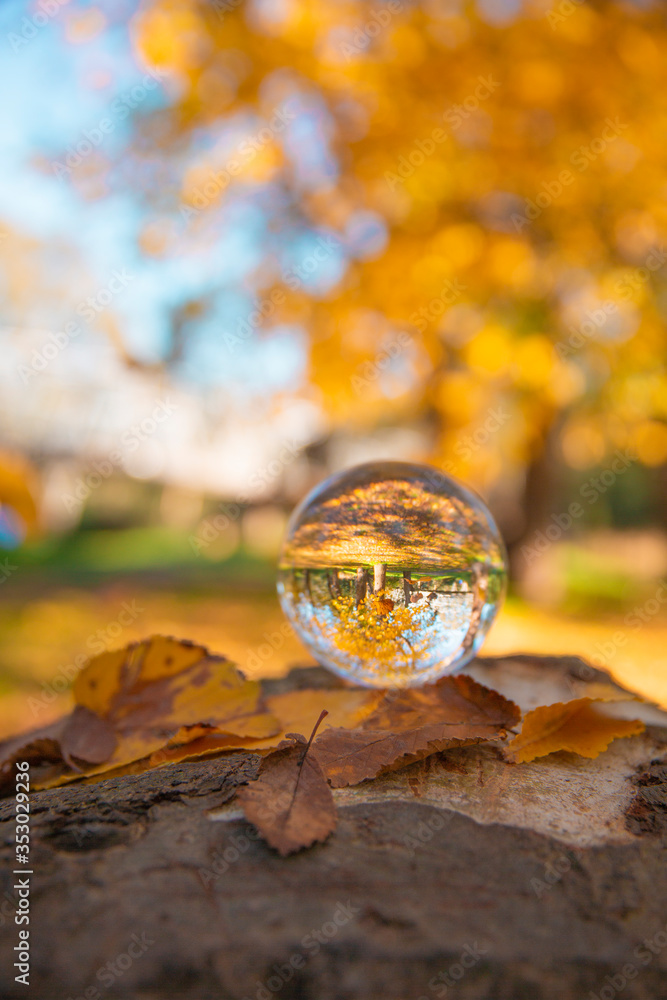 Colourful Autumn Outdoor Nature Landscape Scene with Lens Ball