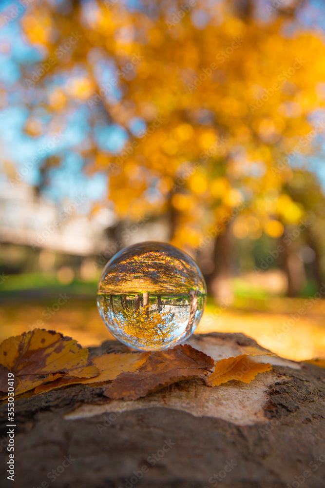 Colourful Autumn Outdoor Nature Landscape Scene with Lens Ball