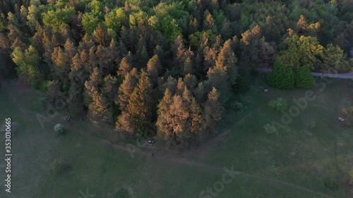 Aerial video footage of a forest near the Alps next to the city of Munich at evening. Drone clip from a above the pine forest of Perlacher Forst. photo