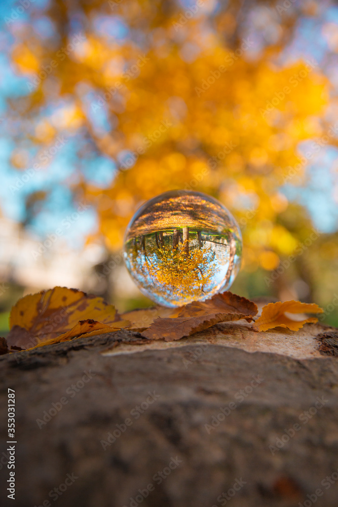 Colourful Autumn Outdoor Nature Landscape Scene with Lens Ball