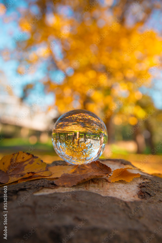 Colourful Autumn Outdoor Nature Landscape Scene with Lens Ball