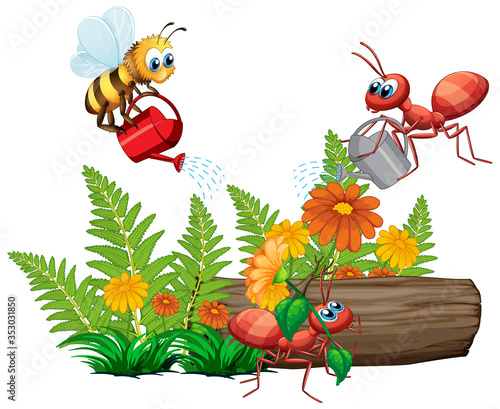 Insects watering the plant on white background
