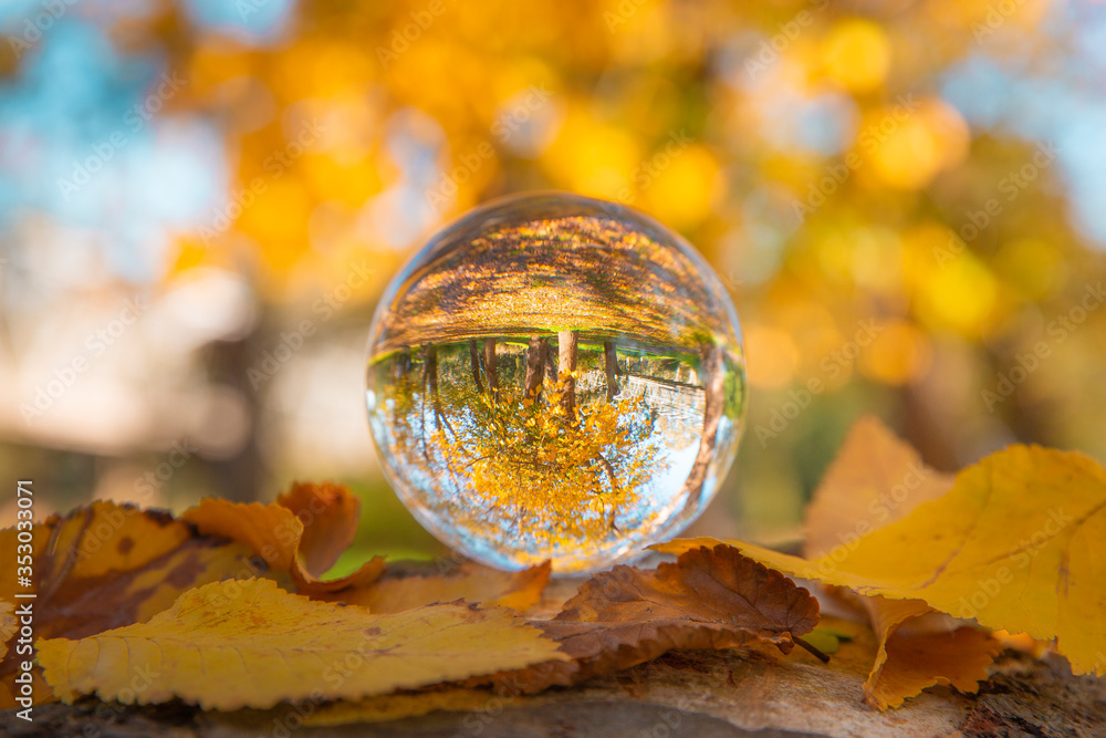 Colourful Autumn Outdoor Nature Landscape Scene with Lens Ball