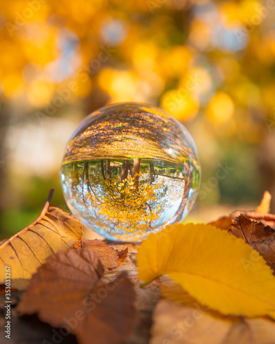 Colourful Autumn Outdoor Nature Landscape Scene with Lens Ball