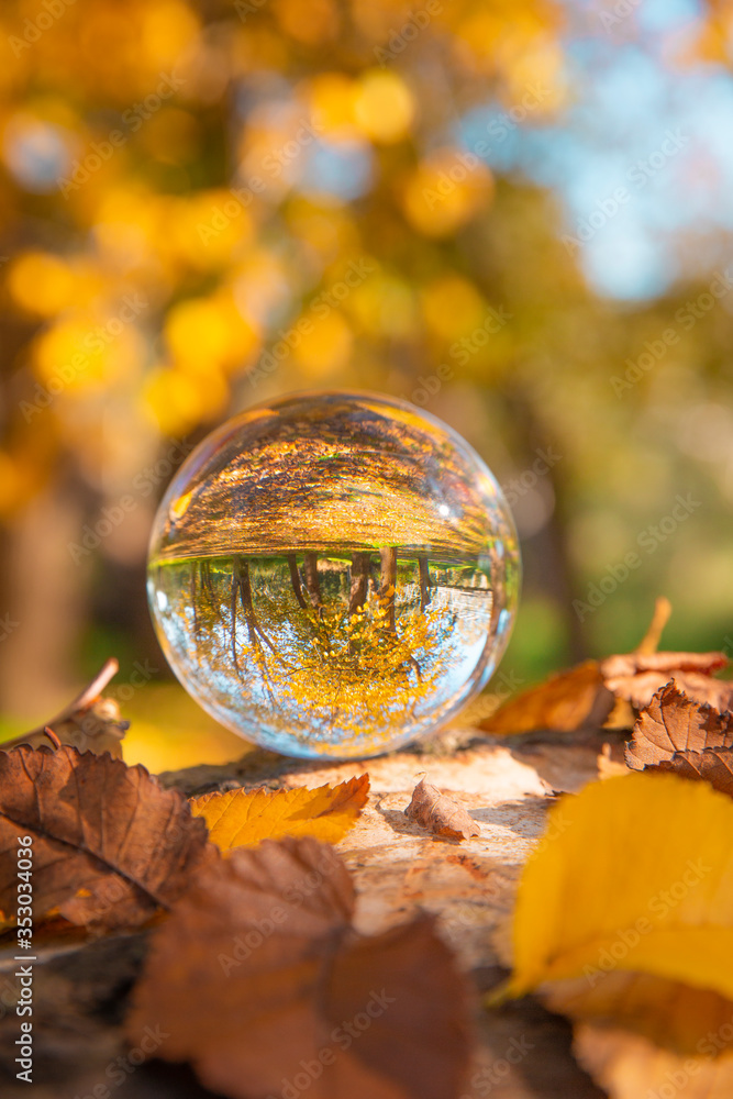 Colourful Autumn Outdoor Nature Landscape Scene with Lens Ball