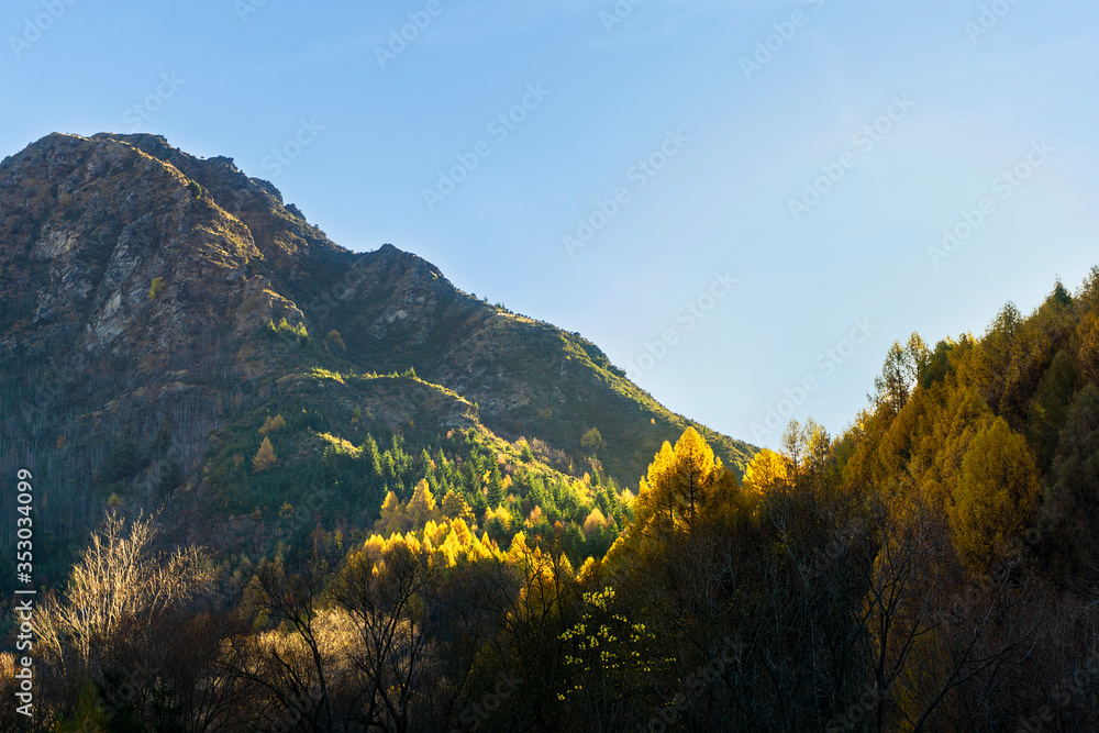 trees golden leaves autumn sunrays colorful mountains blue skies hills floor