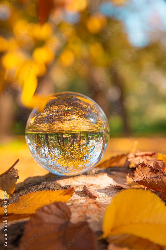 Colourful Autumn Outdoor Nature Landscape Scene with Lens Ball