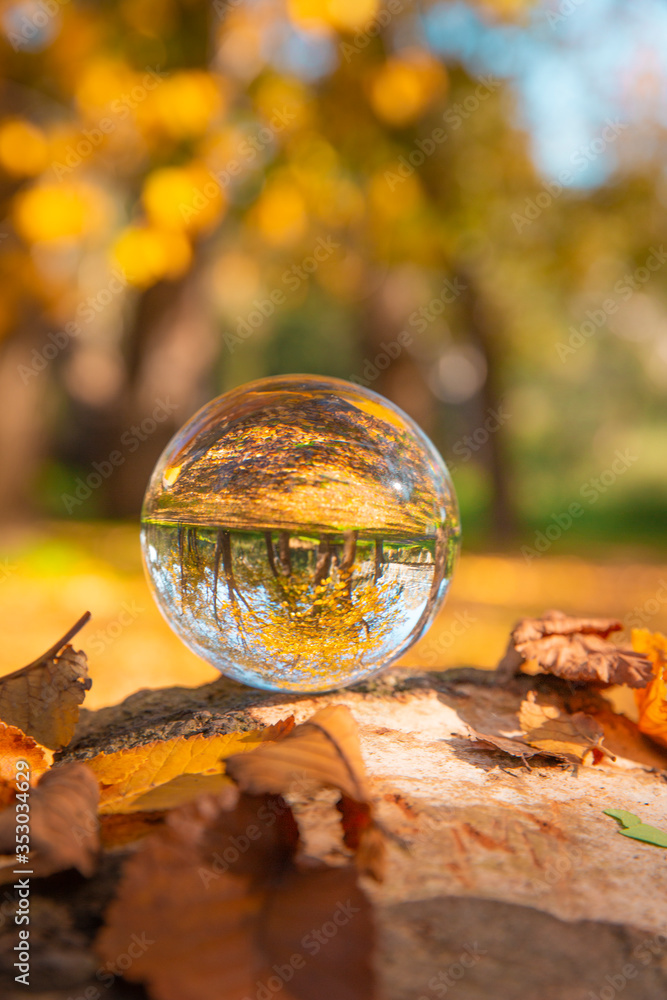 Colourful Autumn Outdoor Nature Landscape Scene with Lens Ball