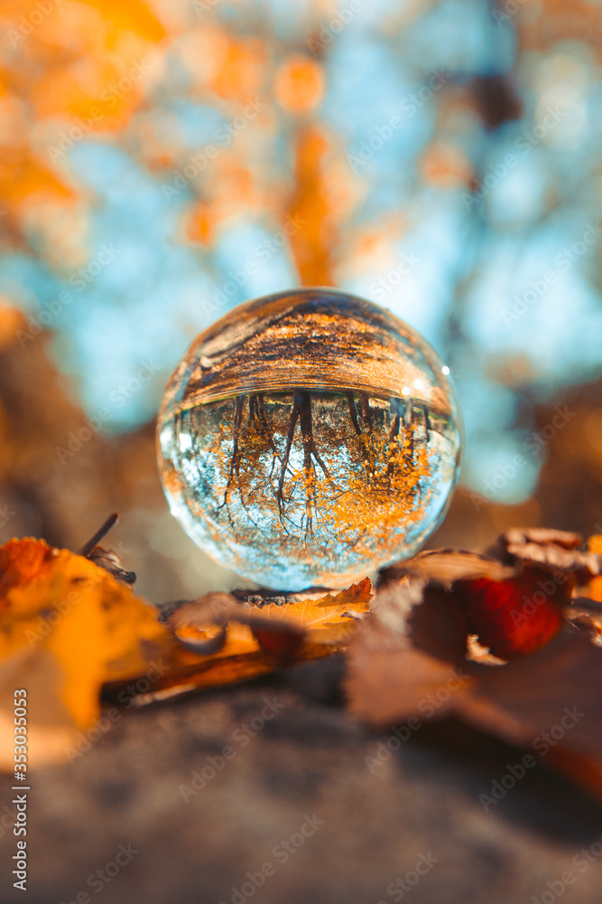 Colourful Autumn Outdoor Nature Landscape Scene with Lens Ball