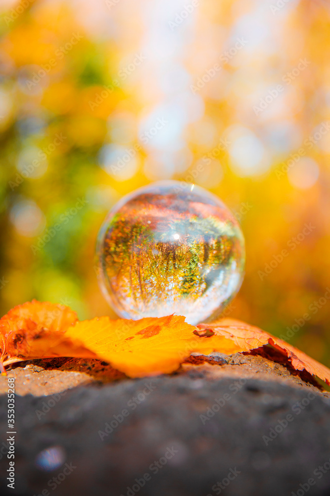 Colourful Autumn Outdoor Nature Landscape Scene with Lens Ball