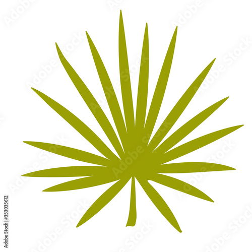 Stock Vector Graphics green palm twig. Tropical plant with green straight leaves. Exotic plant on a white background. T-shirt printing, print design, flat design, sticker, decoration
