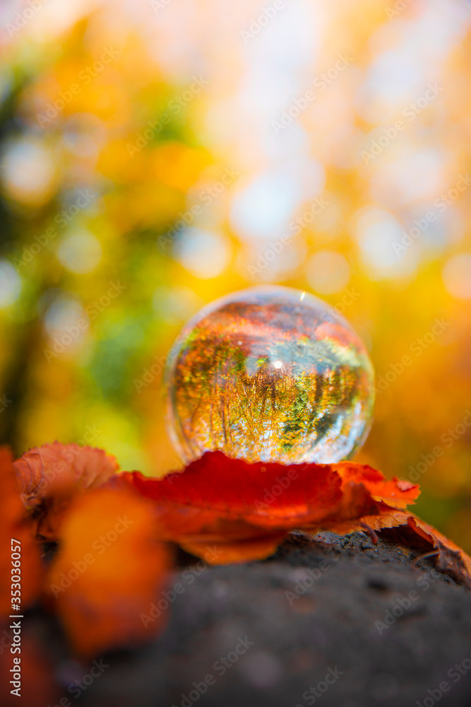 Colourful Autumn Outdoor Nature Landscape Scene with Lens Ball
