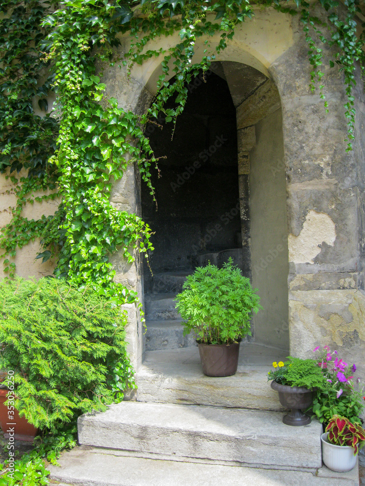 An old stone arch with steps with potted flowers. Bindweed on the walls and green bush. Ancient tunnel decorated with green plants