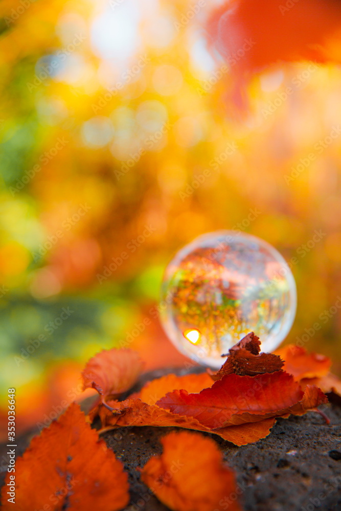 Colourful Autumn Outdoor Nature Landscape Scene with Lens Ball