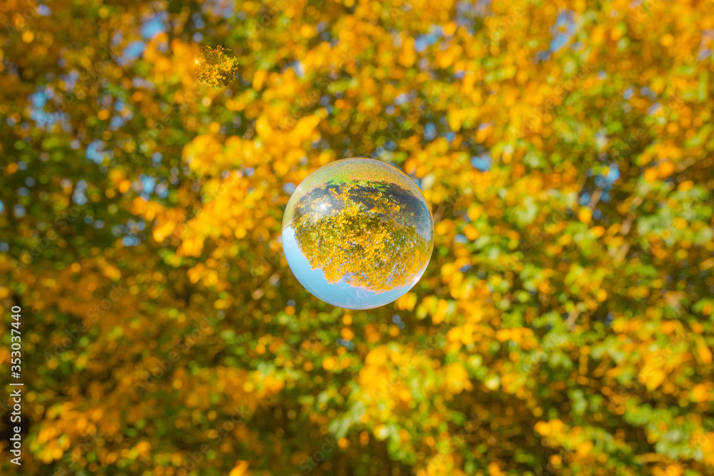 Colourful Autumn Outdoor Nature Landscape Scene with Lens Ball