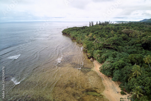 aerial view of beach and trees