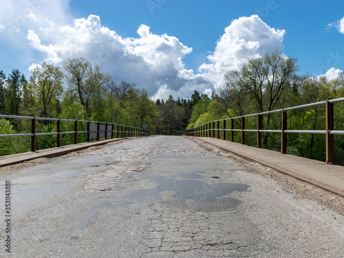 landscape with old bridge pavement texture  bright green trees and grass 