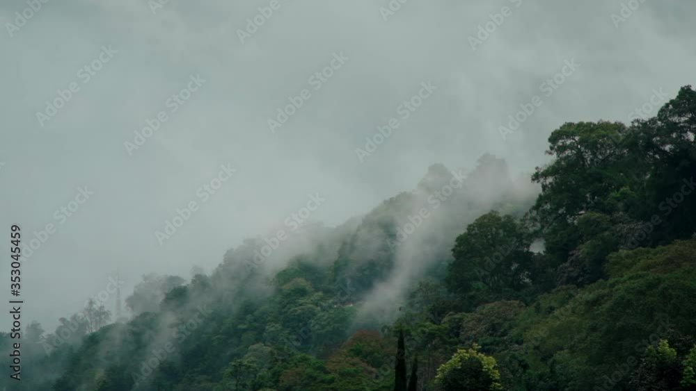 scene of tropical rainforest and mountains in fog after rain scene of tropical rainforest and mountains in fog after rain