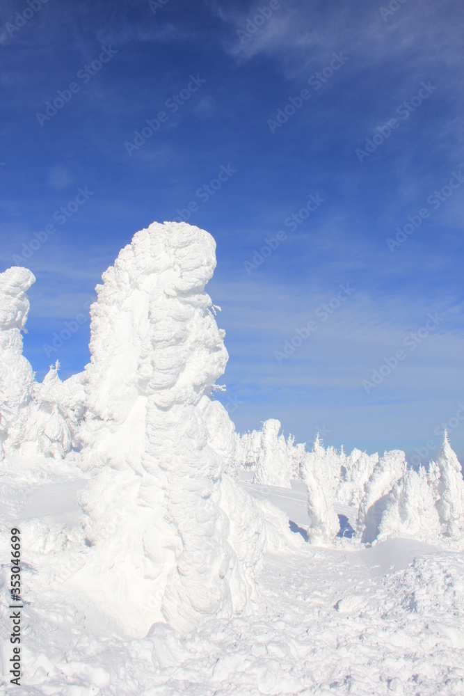 冬の風景　林立する樹氷