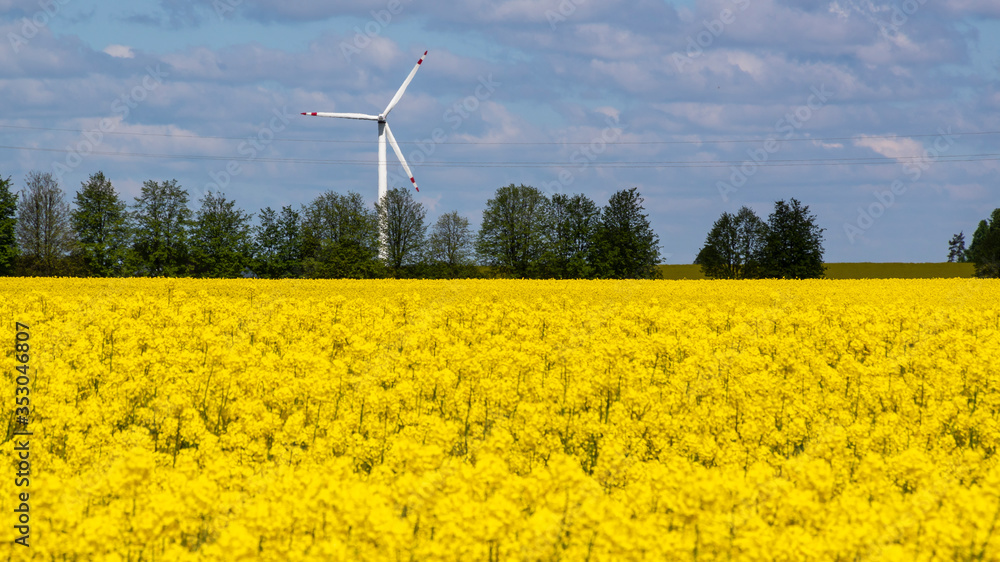 Krajobraz wiejski Podlasia. Polska